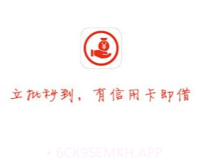 应急钱包v1.5.11截图