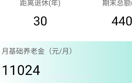 养老金计算器v1.2.6截图