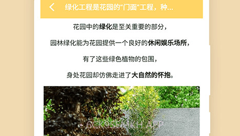 小小花店种养v1.12截图