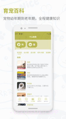 猫狗实时翻译器1.1.4截图