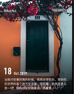 纸塘壁纸v1.4.9截图