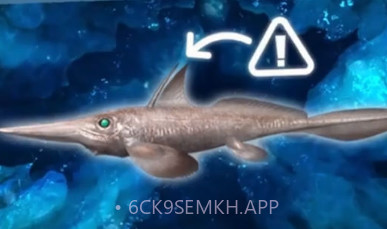 水族馆竞技场v3.1.6.6截图