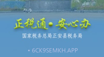 正税通安心办v1.5截图
