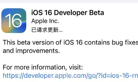 ios16描述文件v1.21截图