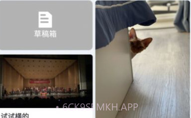 柚子帮v1.0.13截图