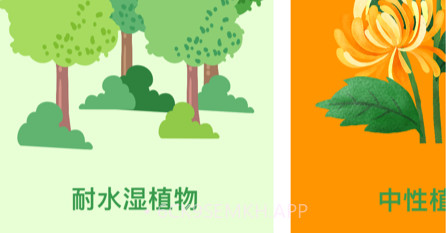 花映瑞香v1.7截图