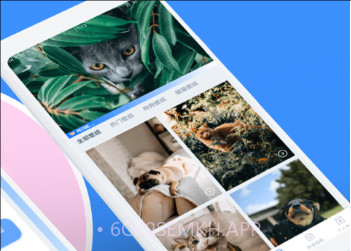 猫咪翻译助手v1.7截图