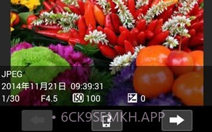 佳能单反控制器V1.9截图