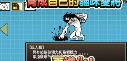猫咪大陆v1.14.0.13截图