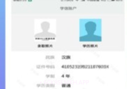 学历查询直连学信网v2.9.13截图