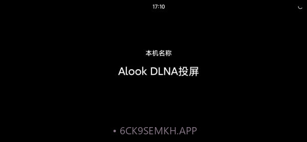 Alook DLNA投屏1.8截图