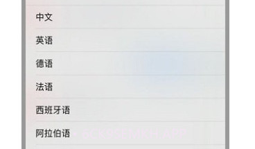 云岭翻译v1.2.11截图