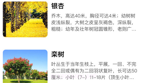 知树v1.12截图