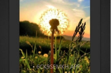 Fotor Photo Editorv6.5.1.5截图