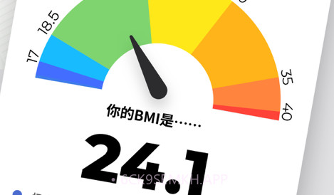 BMI计算器v1.0.10截图