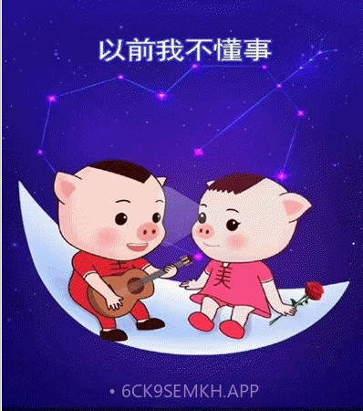 闪动短视频v1.12截图