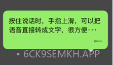 微信支付海外版V8.0.7截图