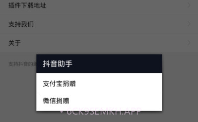 抖音插件APPv1.5截图
