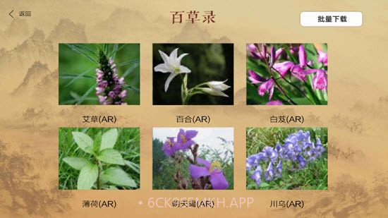 百草录1.13截图