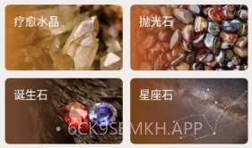 rock identifierv2.3.8截图