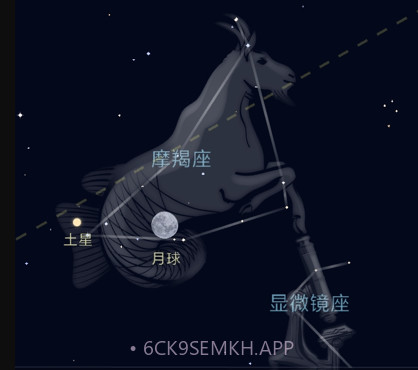 星迷v1.0.11截图