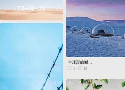 派上壁纸v10鐎瑰宕渧1.6截图