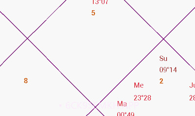AstroSage Kundli7.6截图