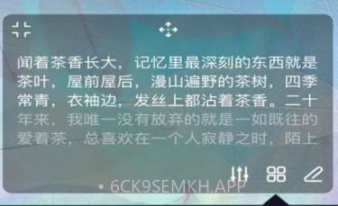 916提词器v1.0.10截图
