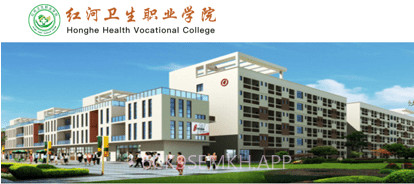 红河卫职院oav3.2.10截图
