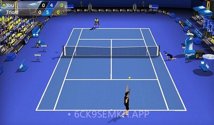 3d网球v2.3.6截图
