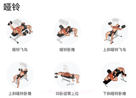立训v1.13截图