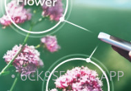 PlantSnapV3.00.6截图