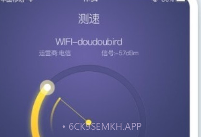 极速测网速v1.0.11截图