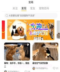 宠萌v2.7.10截图