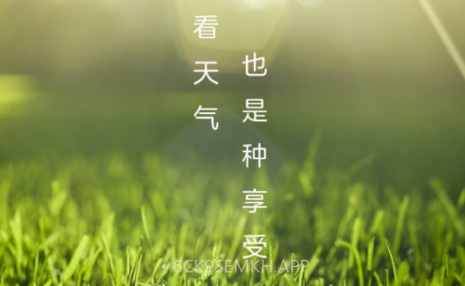 微鲤天气v1.0.1v1.0.10截图