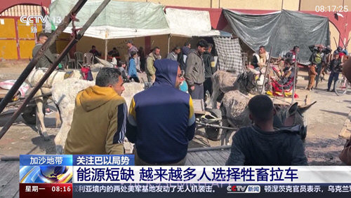 巴豆侠TV96.6.10截图