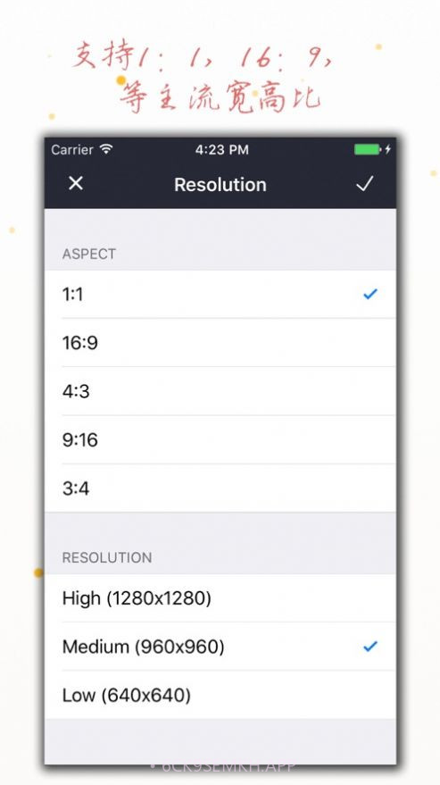 电子相册大师5.6.3截图
