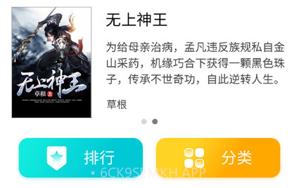 楚楚小说v3.01.10截图