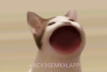 PopCat啵嘴猫v3.9截图