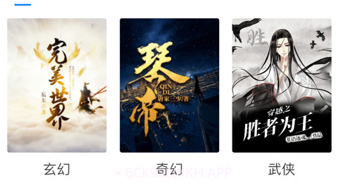 必追小说v1.13截图