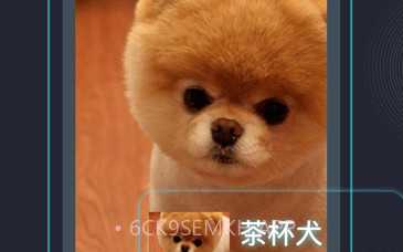 识图神器v1.9截图