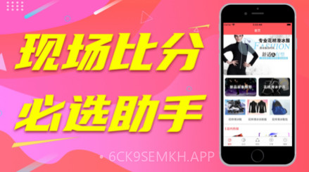 报比分高手v1.11截图
