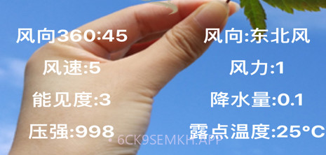 口袋实时预报v1.10截图