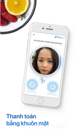 Facepayv1.17截图