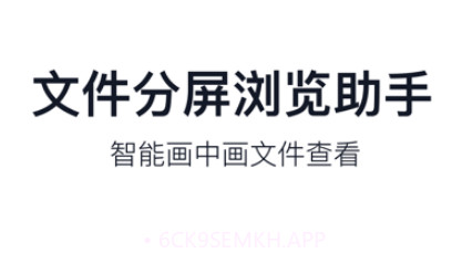 分屏画中画v1.12截图
