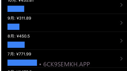 简明记账v1.10截图