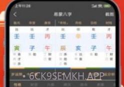 易蒙八字v1.0.8截图