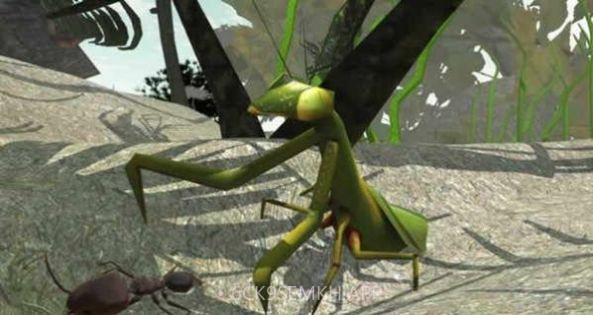 3d蚂蚁模拟器V3.3.10截图