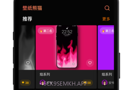 壁纸熊猫v1.8截图